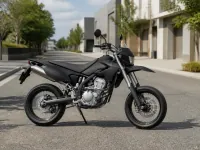 Kawasaki D-Tracker 250 — сбоку