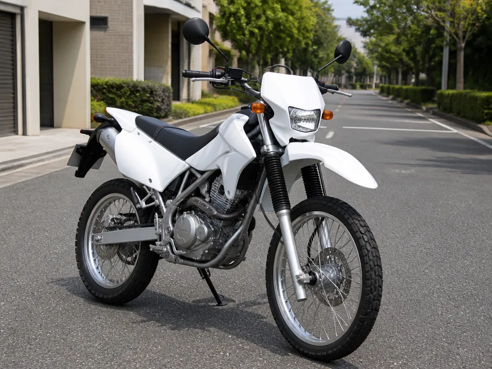 Kawasaki KLX 250