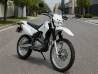 Kawasaki KLX 250 — 正面
