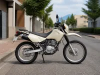 Kawasaki KLX 250 — 侧面