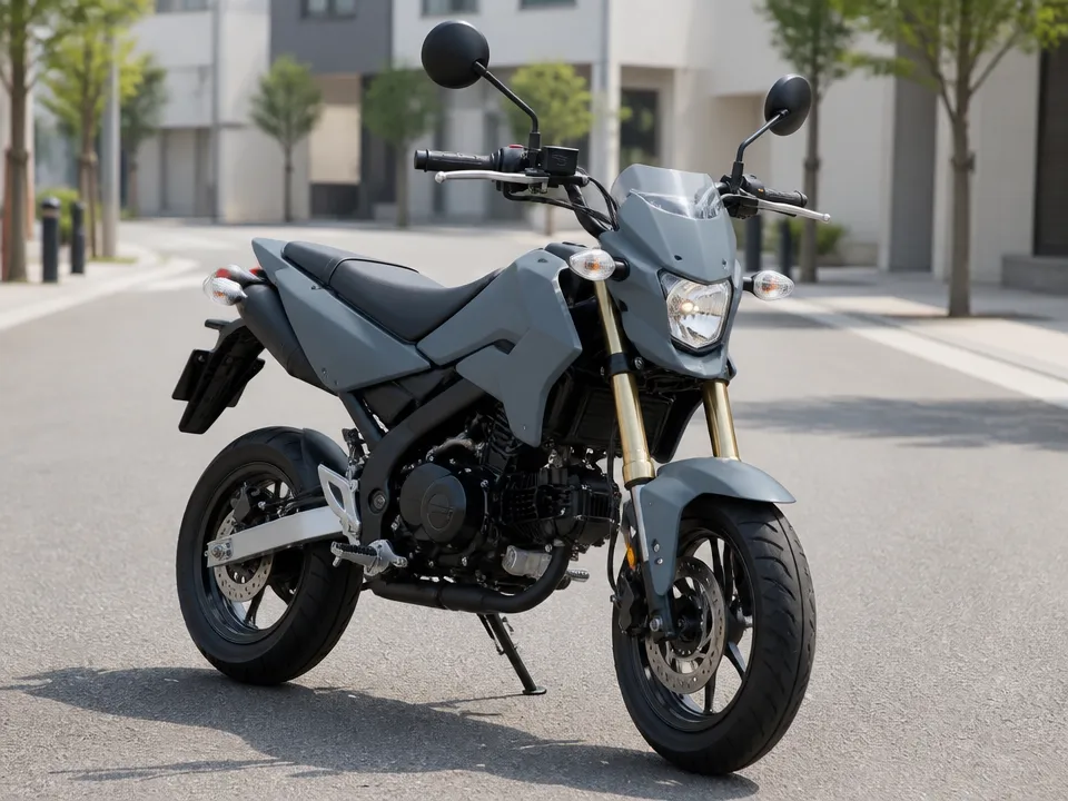Kawasaki KSR 110