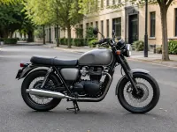 Triumph Bonneville T100 — side