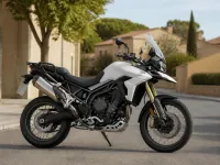 Triumph Tiger 900 Rally Pro — ด้านข้าง