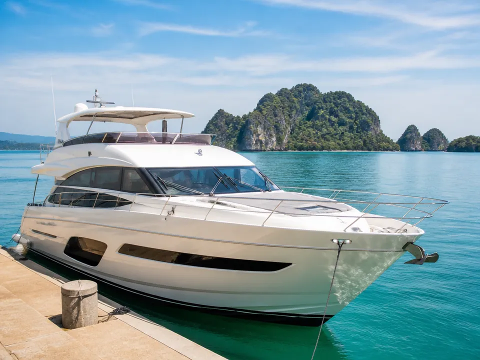 Princess 65