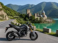 Kawasaki Z125 Pro — side
