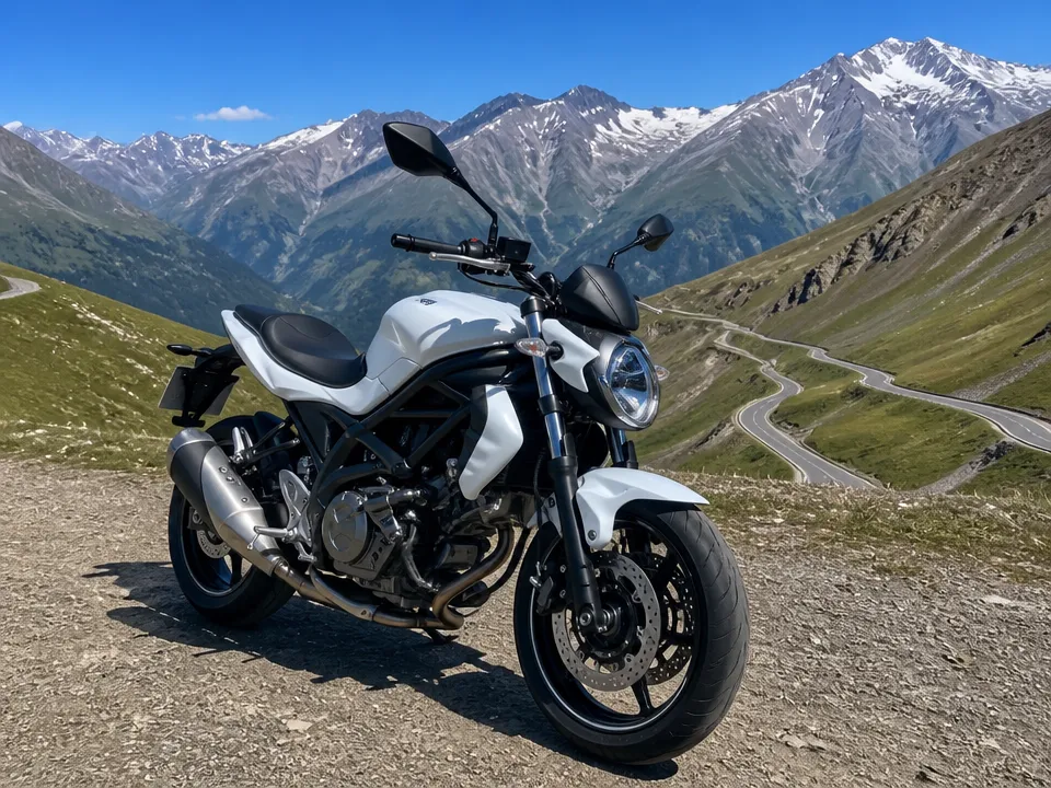 Suzuki Gladius 650