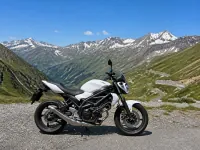 Suzuki Gladius 650 — צד