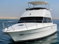 Bayliner 3288 Fly — frontal