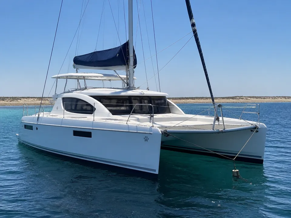 Leopard 39