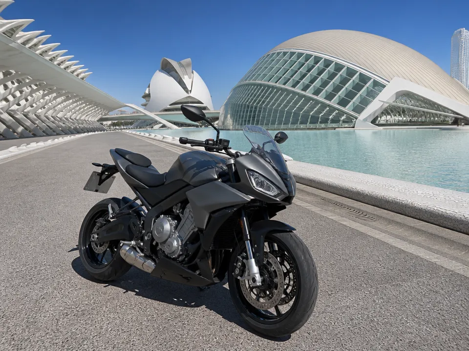 Aprilia Tuono 660