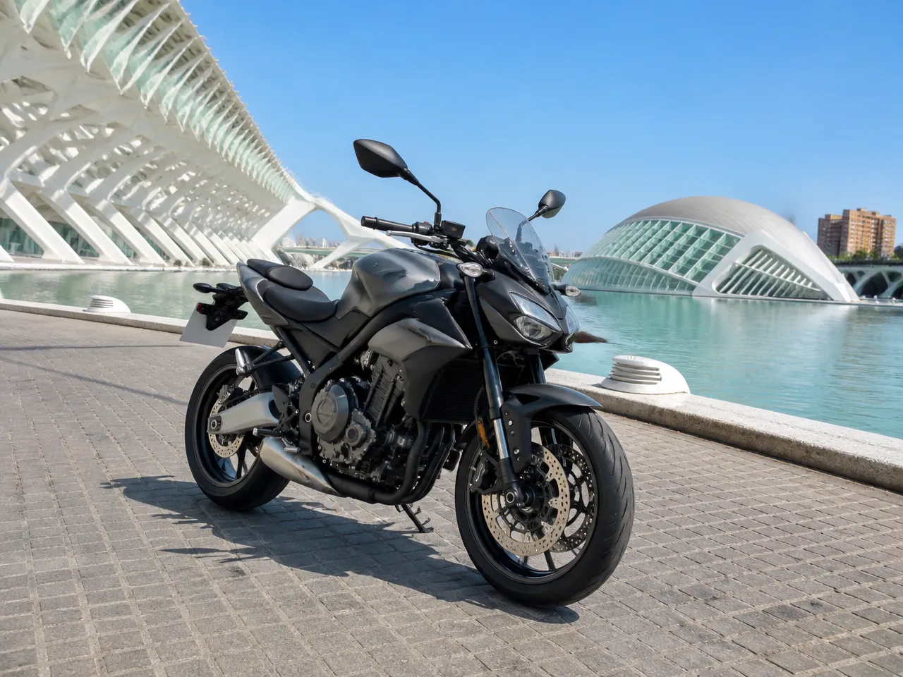 Aprilia Tuono 660 — vorn