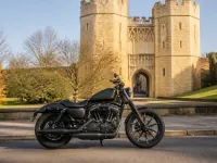 Harley-Davidson Sportster XL 1200 X Forty — lateral