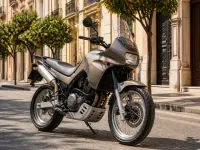 Kawasaki KLE 500 — frontal